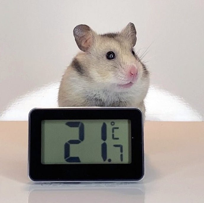 Hamster Cage Digital Thermometer 30.2028.01 - Thermometer Specialist