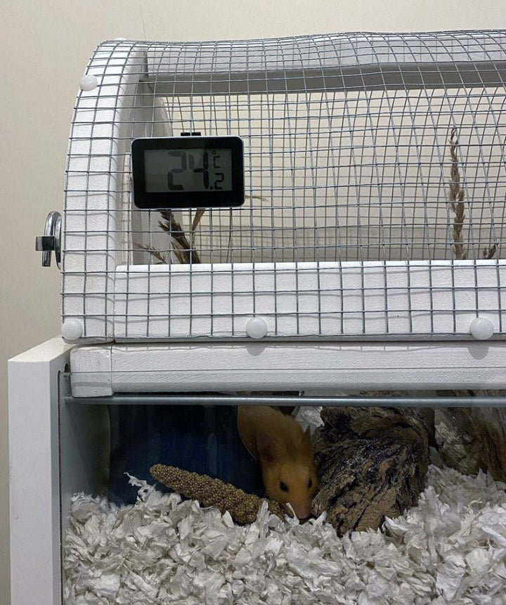 Hamster Cage Digital Thermometer 30.2028.01 - Thermometer Specialist