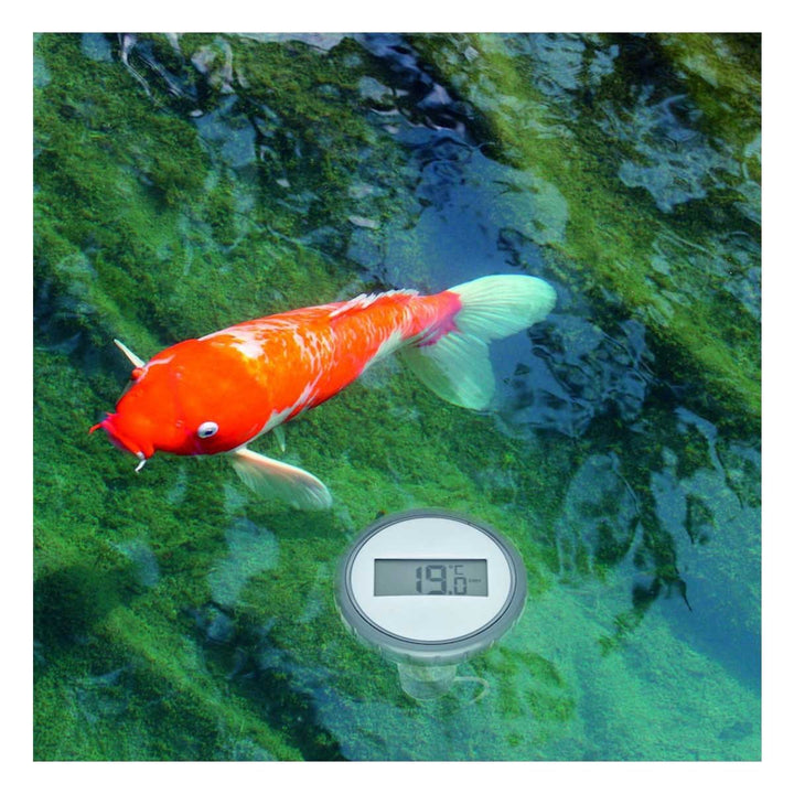 TFA PALMA Wireless Pool/Pond Thermometer 30.3067 - Thermometer Specialist